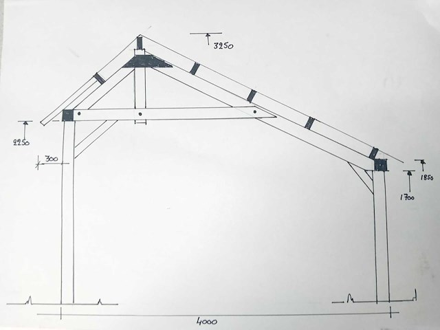 Douglas kapschuur met dakpanplaat 669x460x325 cm - afbeelding 8 van  17
