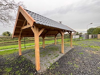 Douglas kapschuur met dakpanplaat 890x360x325 cm - afbeelding 10 van  19