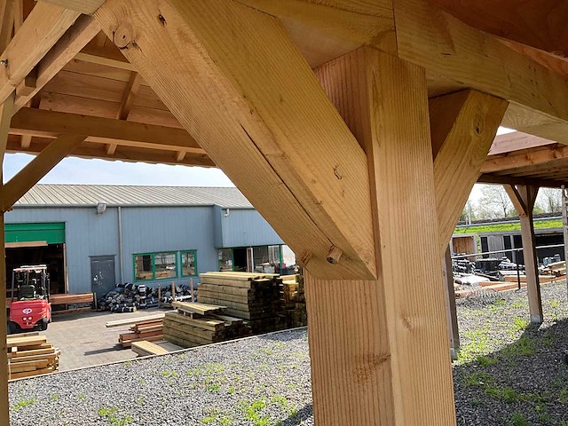 Douglas kapschuur met dakpanplaat 890x360x325 cm - afbeelding 18 van  19