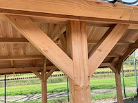 Douglas kapschuur met dakpanplaat 890x360x325 cm - afbeelding 8 van  19