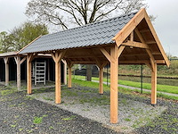 Douglas kapschuur met dakpanplaat 890x360x325 cm - afbeelding 5 van  12