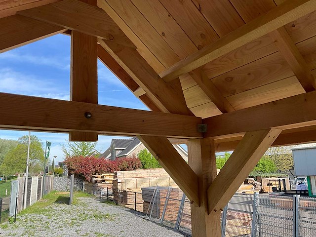 Douglas kapschuur met dakpanplaat 890x460x325 cm - afbeelding 5 van  19