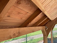 Douglas kapschuur met dakpanplaat 890x460x325 cm - afbeelding 4 van  18