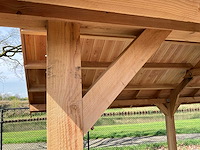 Douglas kapschuur met dakpanplaat 890x460x325 cm - afbeelding 7 van  17