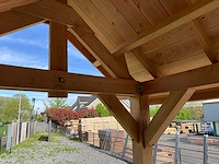 Douglas kapschuur met dakpanplaat 890x460x325 cm - afbeelding 19 van  19