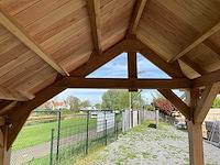 Douglas kapschuur met dakpanplaat 890x460x325 cm - afbeelding 13 van  14