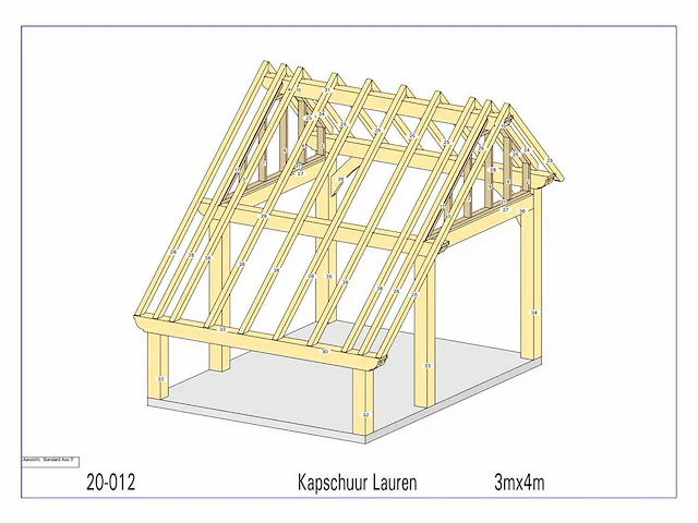Douglas kapschuur/poolhouse 3x4 - afbeelding 7 van  12