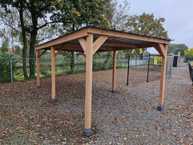 Douglas overkapping - 1210x410x210 cm - afbeelding 3 van  9