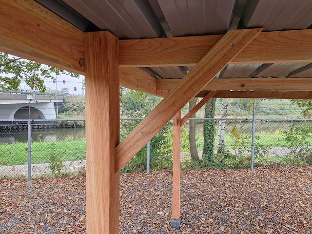 Douglas overkapping 1210x310x210 cm - afbeelding 9 van  10