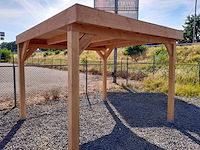 Douglas overkapping 250x300 cm - afbeelding 2 van  3