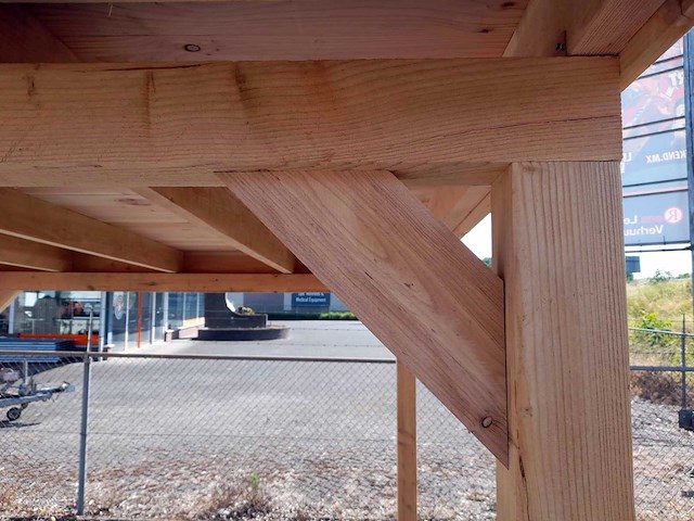 Douglas overkapping 300x300 cm - afbeelding 3 van  7
