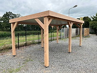 Douglas overkapping 300x300 cm - afbeelding 2 van  9