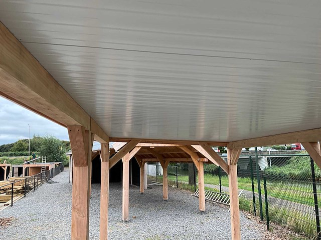 Douglas overkapping 300x300 cm - afbeelding 6 van  9