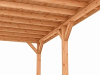 Douglas overkapping 400x1000x253 cm - afbeelding 5 van  9