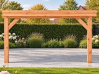 Douglas overkapping 400x1000x253 cm - afbeelding 7 van  9