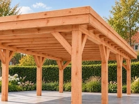 Douglas overkapping 400x1000x253 cm - afbeelding 8 van  9