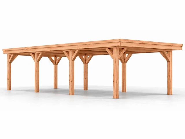 Douglas overkapping 400x600x253 cm - afbeelding 4 van  9