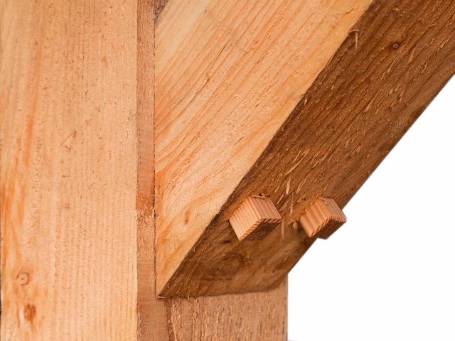 Douglas overkapping 400x800x253 cm - afbeelding 3 van  3