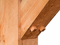 Douglas overkapping 400x800x253 cm - afbeelding 3 van  3