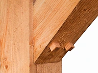 Douglas overkapping 400x800x253 cm - afbeelding 3 van  3