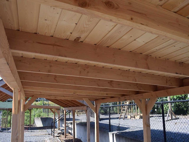 Douglas overkapping 500x400 cm - afbeelding 3 van  5