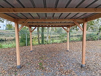 Douglas overkapping 740x310x300 cm - afbeelding 7 van  10