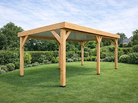 Douglas overkapping 800x300 cm - afbeelding 1 van  9