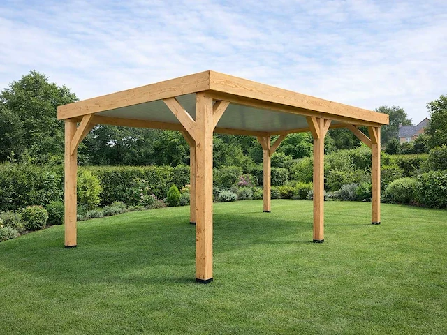 Douglas overkapping 800x300 cm - afbeelding 1 van  9