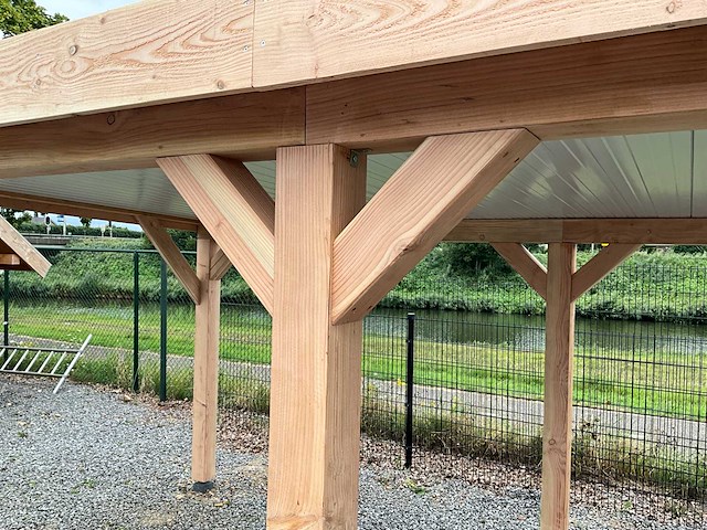 Douglas overkapping 900x300 cm - afbeelding 1 van  5