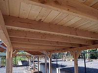 Douglas overkapping 900x400 cm - afbeelding 3 van  5