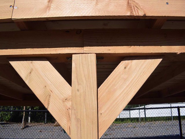 Douglas overkapping 900x400 cm - afbeelding 4 van  5