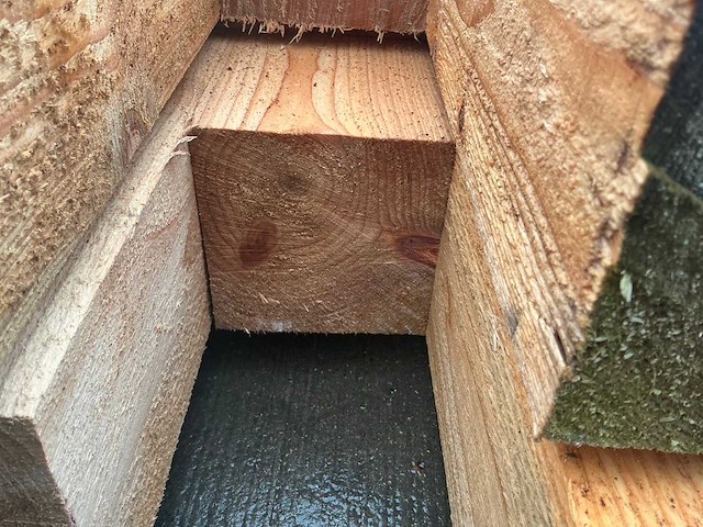 Douglas paal (11x) - afbeelding 2 van  13