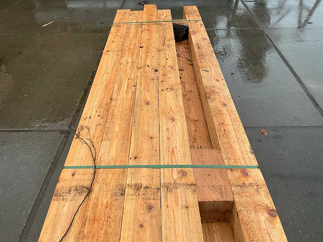 Douglas paal (11x) - afbeelding 10 van  13