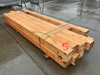 Douglas paal (11x) - afbeelding 11 van  13