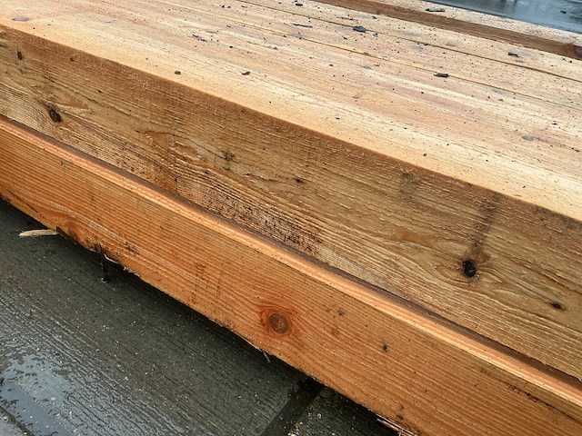 Douglas paal (11x) - afbeelding 13 van  13