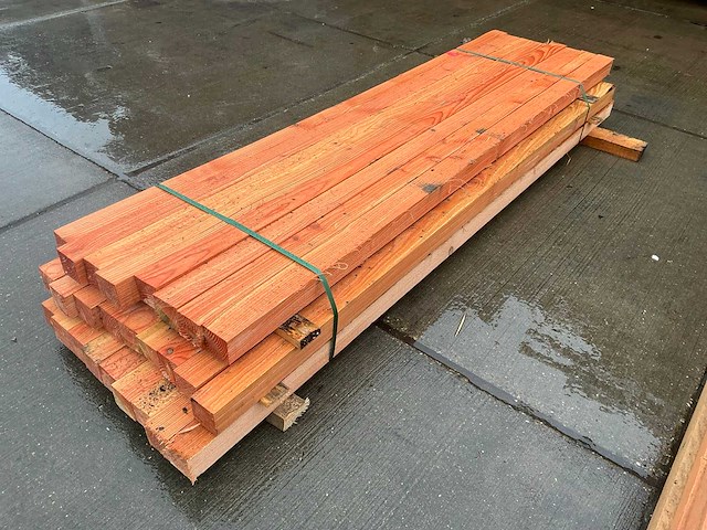 Douglas paal (26x) - afbeelding 7 van  11