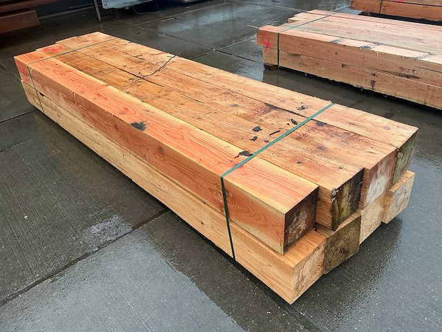 Douglas paal (8x) - afbeelding 1 van  12