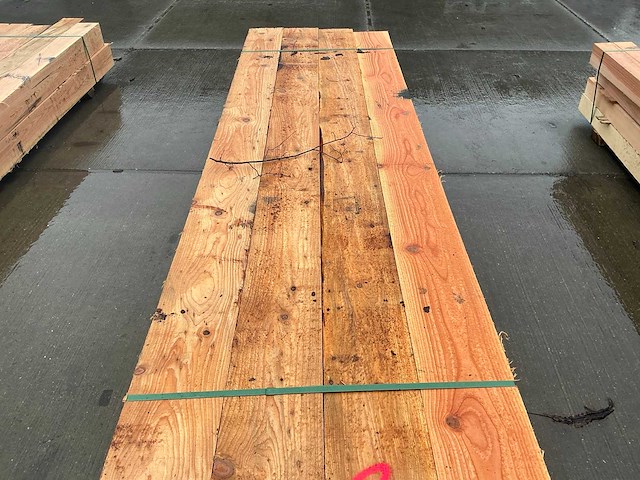 Douglas paal (8x) - afbeelding 6 van  12