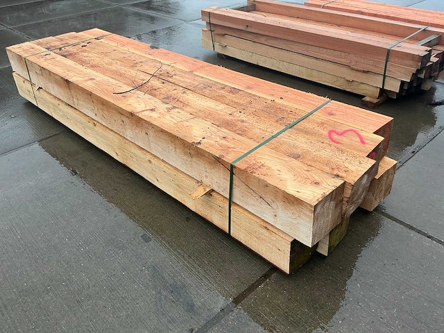 Douglas paal (8x) - afbeelding 7 van  12