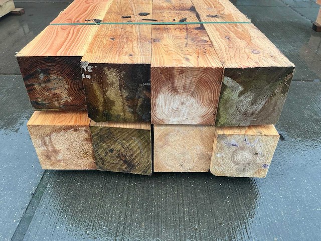 Douglas paal (8x) - afbeelding 11 van  12