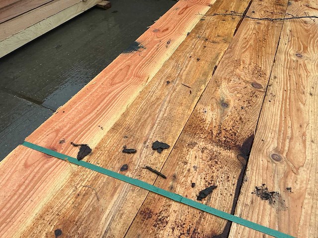 Douglas paal (8x) - afbeelding 12 van  12