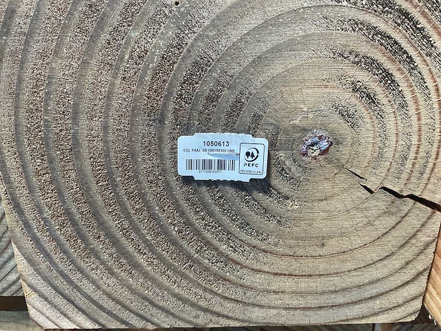 Douglas paal geschaafd 300x19x19 cm (8x) - afbeelding 6 van  7