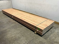 Douglas paal geschaafd en verlijmd 500x14x14 cm (8x)