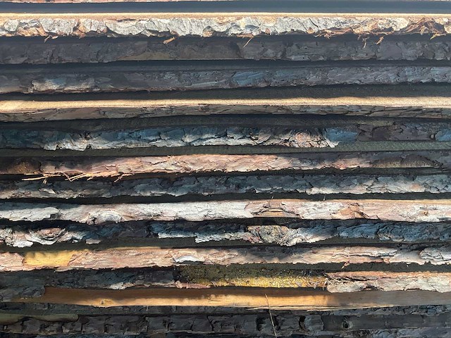 Douglas schaaldeel 300x18-25x2 cm (50x) - afbeelding 3 van  7