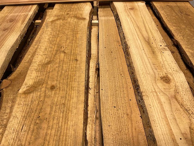 Douglas schaaldeel 500x18-25x2 cm (50x) - afbeelding 3 van  9