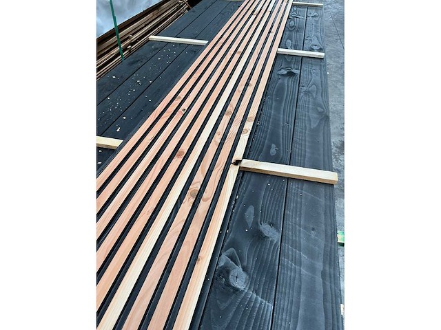 Douglas triple rhombus - 500 cm (96x) - afbeelding 2 van  5