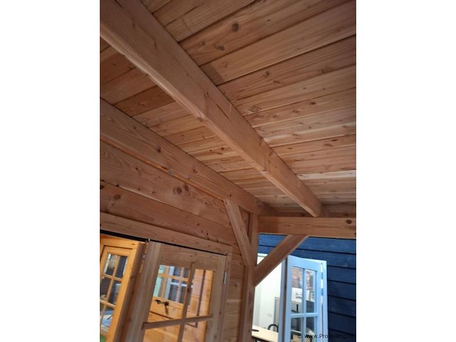 Douglas tuinhuis met veranda - 700x250cm - afbeelding 20 van  22