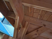 Douglas tuinhuis met veranda - 700x250cm - afbeelding 21 van  22