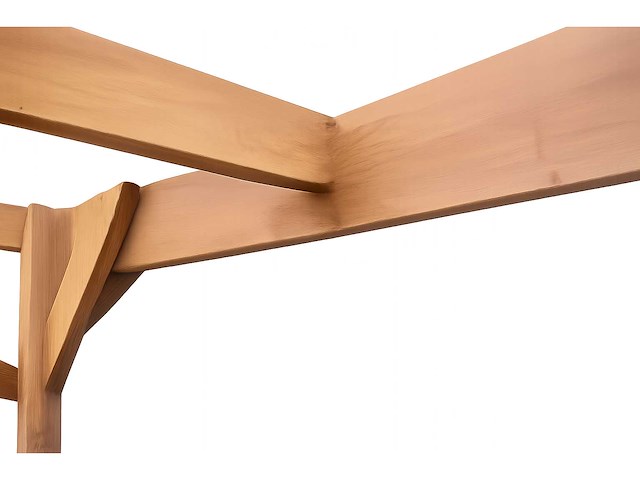 Douglas vrijstaande dubbele carport - 600x605x300 cm - afbeelding 3 van  4