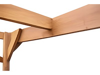 Douglas vrijstaande dubbele carport - 600x605x300 cm - afbeelding 3 van  4